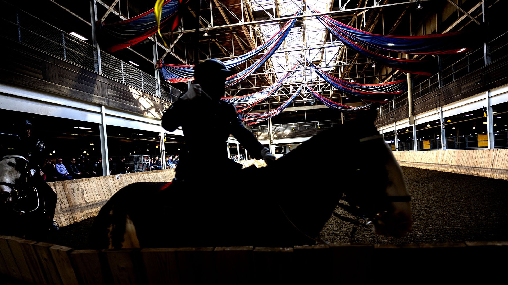 Police officer on a horse