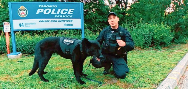 Police officer and dog
