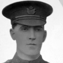 William Henry Haynes
