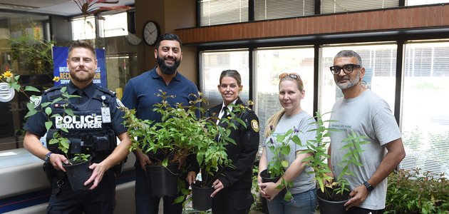 People standing holding plants