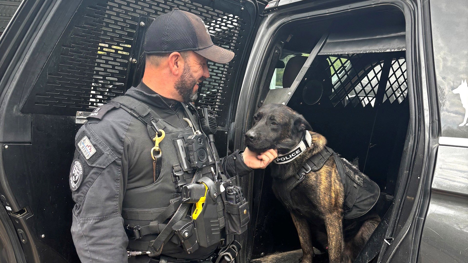 Police officer and dog