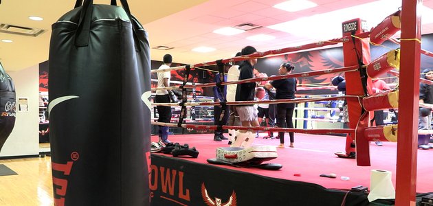 People in a boxing ring