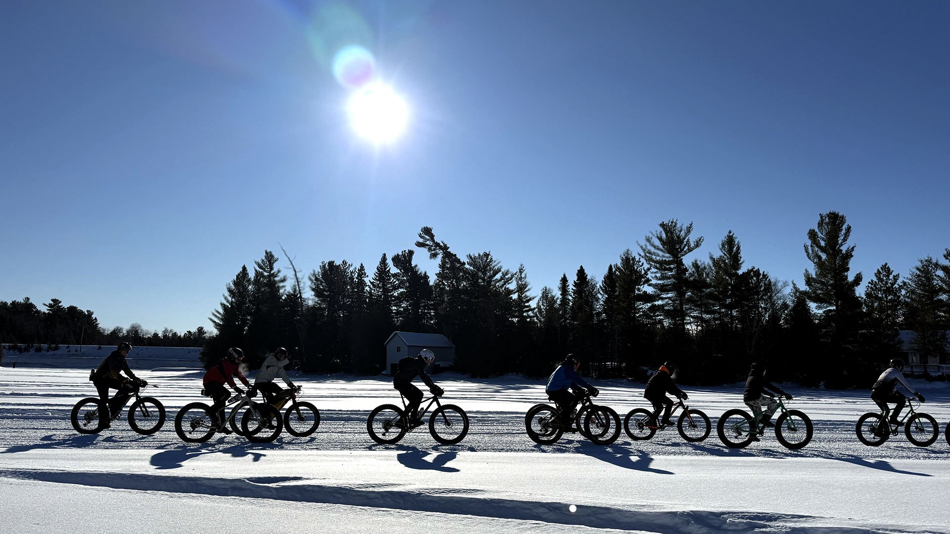 Line of cyclists in front of trees
