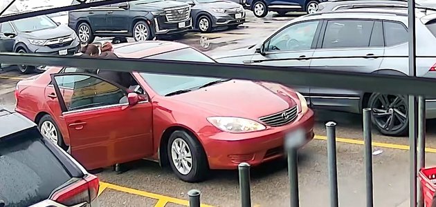 People outside of a car
