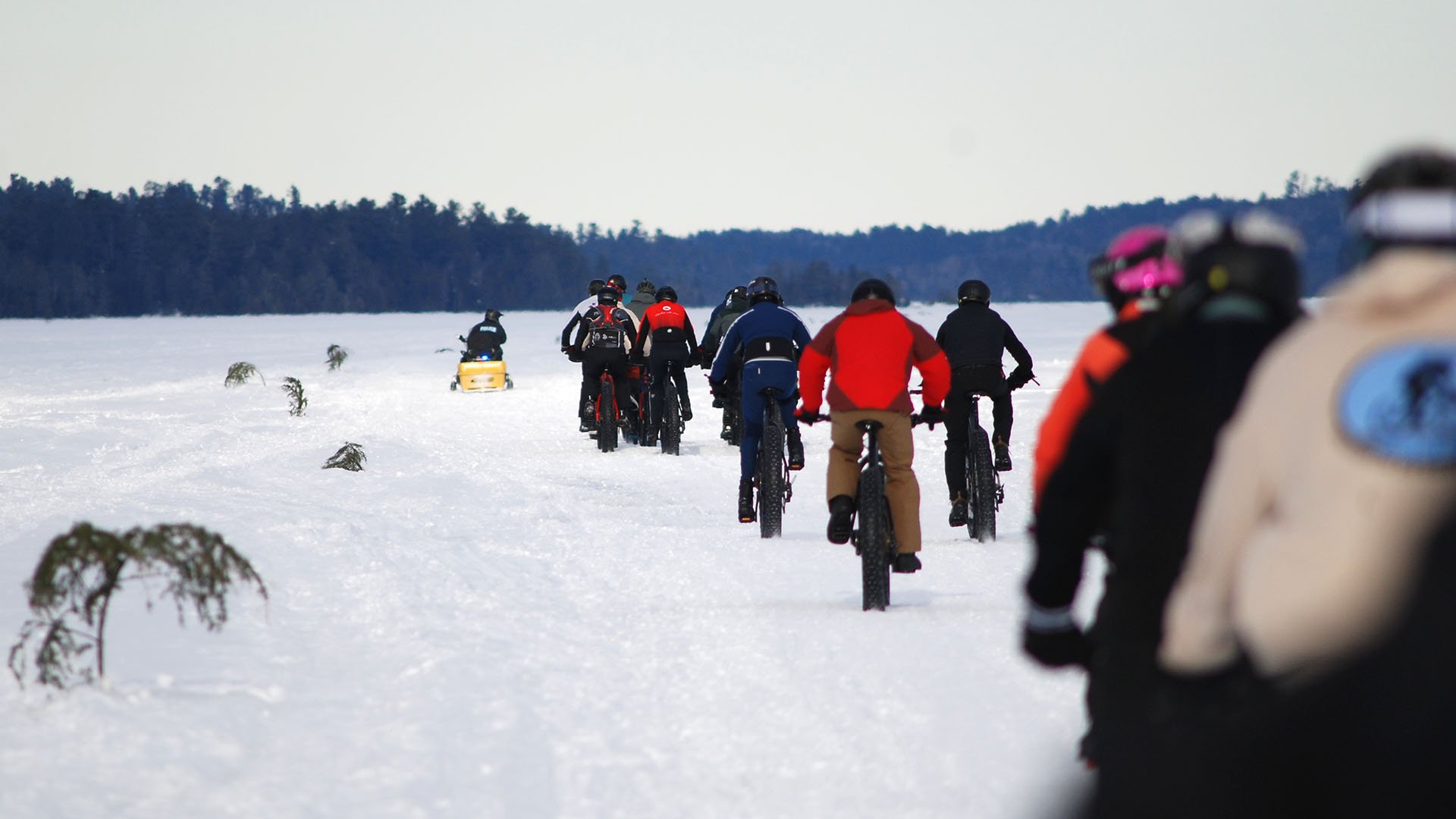 Line of cyclists on snow