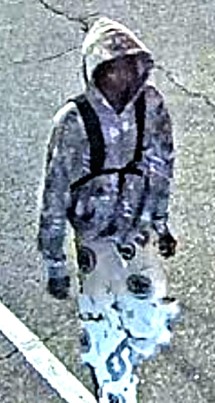 Suspect Sought in Sexual Assault Investigation,
Black Creek Drive and Trethewey Drive