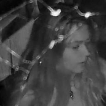 Suspects Sought in Break and Enter Investigation,
Toronto Island Business area,
Images released