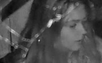 Suspects Sought in Break and Enter Investigation,
Toronto Island Business area,
Images released