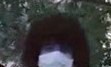 Suspect #1