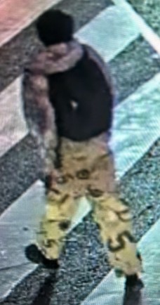 Suspect Sought in Sexual Assault Investigation,
Black Creek Drive and Trethewey Drive