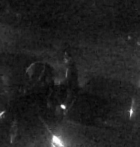 Suspects Sought in Arson Investigation,
Don Mills Road and St. Dennis Drive area
