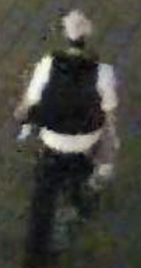 Suspects Sought in Break and Enter Investigation,
Toronto Island Business area,
Images released