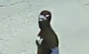 Suspect photo