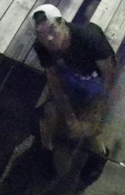 Suspect Sought in Break and Enter Investigation,
Gerrard Street East and Greenwood Avenue