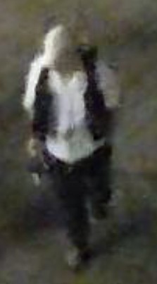 Suspects Sought in Break and Enter Investigation,
Toronto Island Business area,
Images released