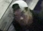 Suspect Sought in Break and Enter Investigation,
Gerrard Street East and Greenwood Avenue