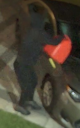 Suspect Sought in Arson Investigation,
Bellamy Road North and Lawrence Avenue East area