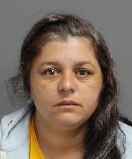 Man and Woman Arrested in Distraction Theft Investigation,
Falstaff Avenue and Culford Road area,
Bianca Mitran, 41, of Toronto