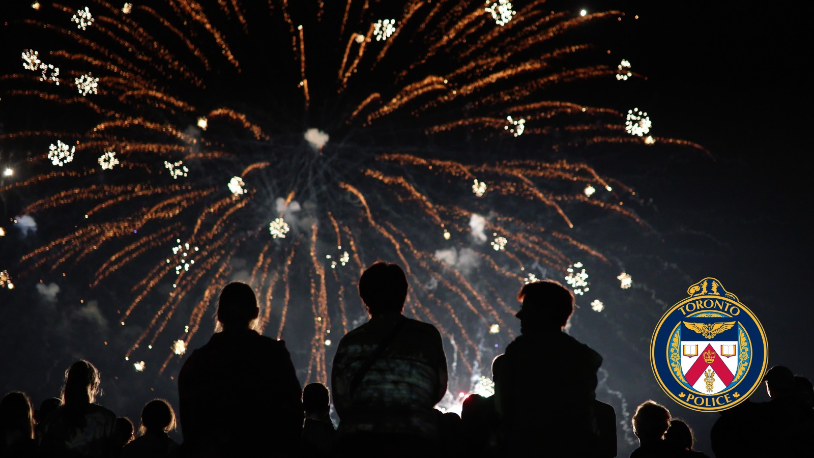 Image of Fireworks Display