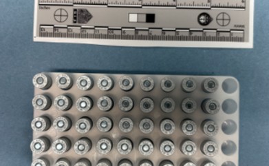 Seized Ammunition